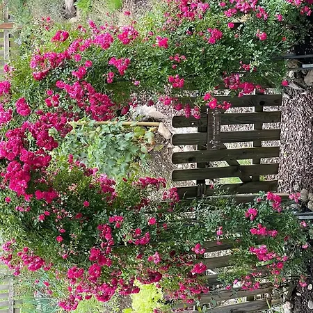 Bijou- 1 Og By Interhome * 伦克