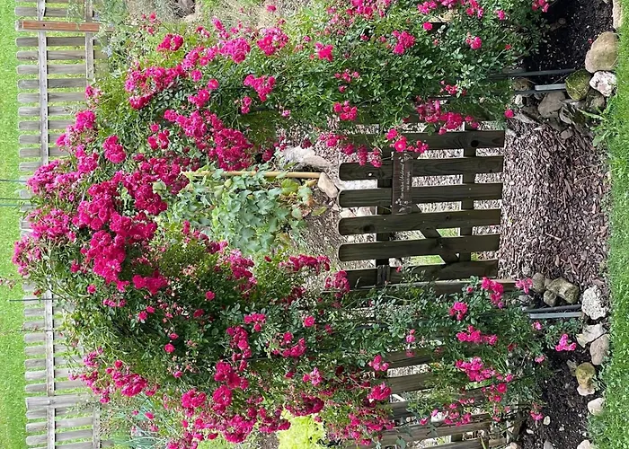 Bijou- 1 Og By Interhome * Lenk